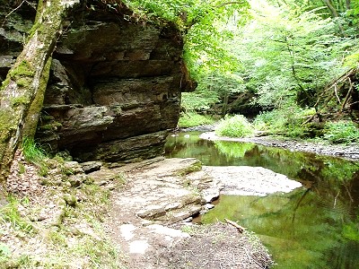 Ortsgemeinde Hontheim Eifel Krinkhof Bonsbeuern Wispelt Ueß Antoniusruh