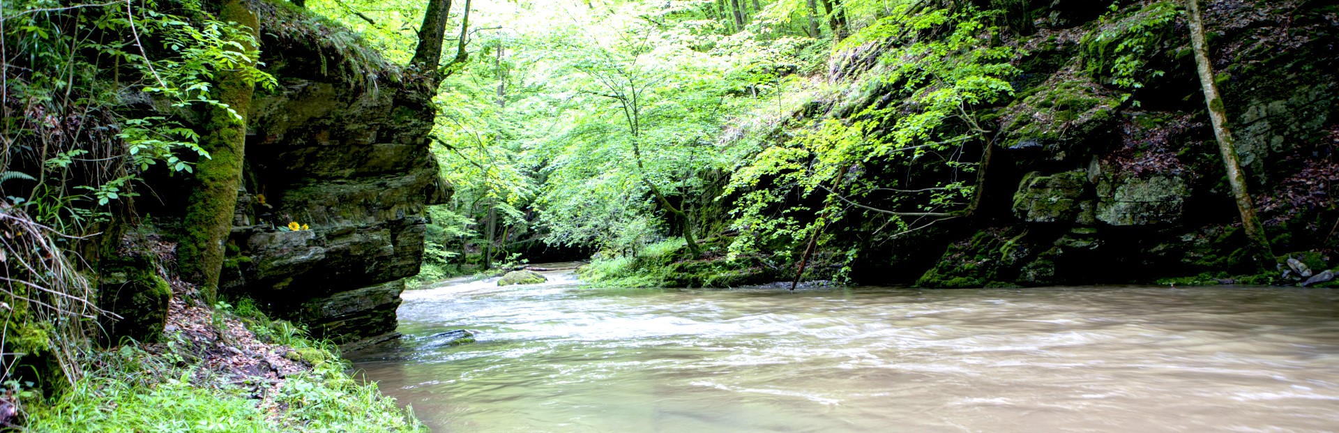 Ortsgemeinde Hontheim Eifel Krinkhof Bonsbeuern Wispelt Ueß Antoniusruh