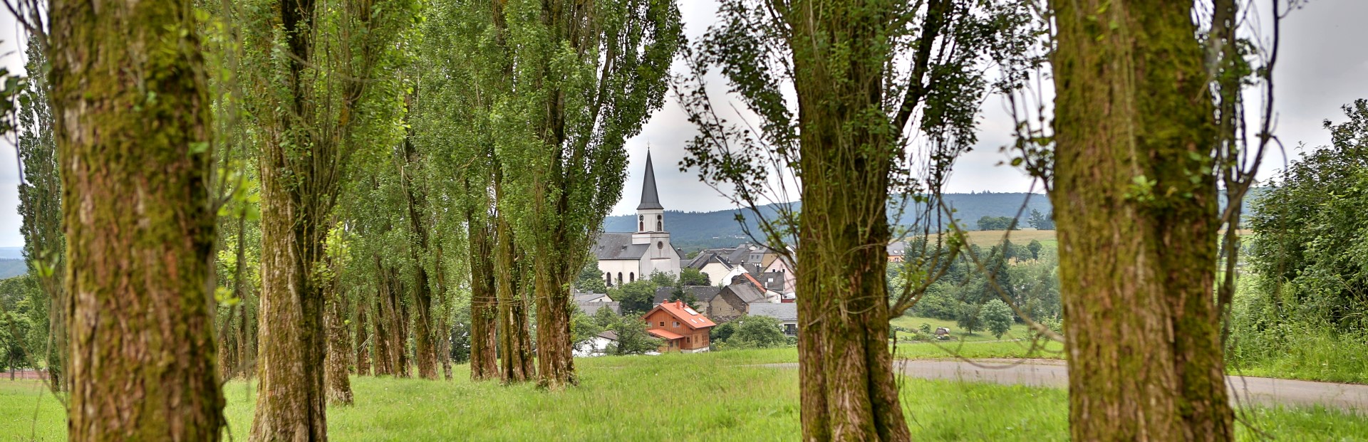 Ortsgemeinde Hontheim Eifel Krinkhof Bonsbeuern Wispelt