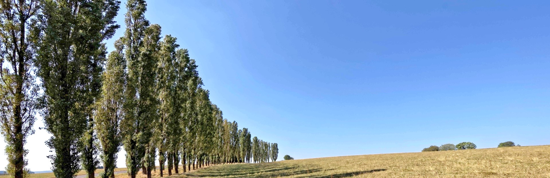 Ortsgemeinde Hontheim Eifel Krinkhof Bonsbeuern Wispelt Pappelallee