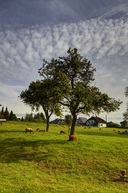 blick-zur-schulstrasse.jpg